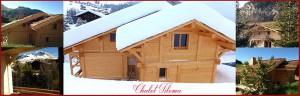 location chalet grand bornand