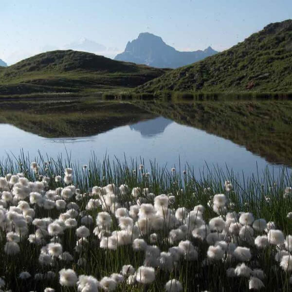 lac de peyre